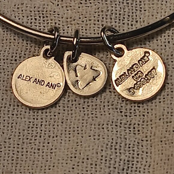 Alex and Ani lot of 9 bangle bracelets silver & brass tones + 1 Footnotes - Picture 14 of 16